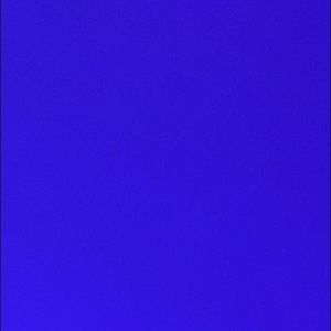 Meet your Posher, Carlie